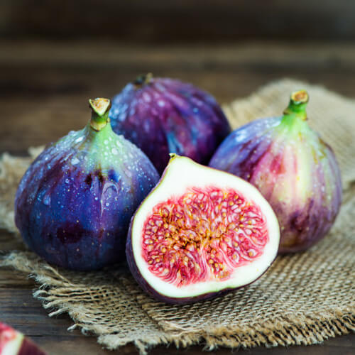 Lorem ipsum dolor sit amet